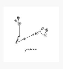 Pisces Zodiac Wildflower Constellation Photographic Print