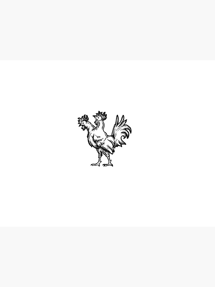 two headed rooster, chicken , bird, mutant, 