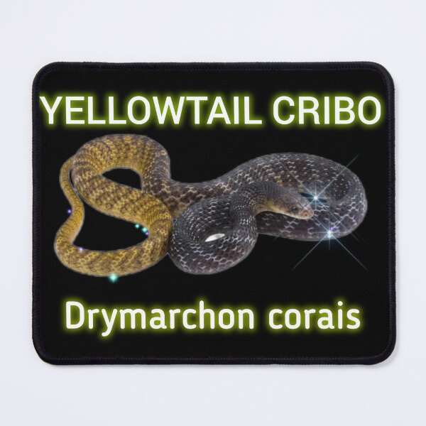 Item preview, YT Cribo Drymarchon corais  designed and sold by StrangeFetish.