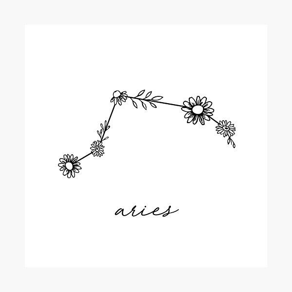 Aries Zodiac Wildflower Constellation Photographic Print