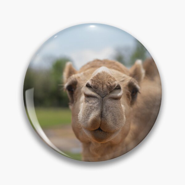 Item preview, camel face designed and sold by sarelitay.