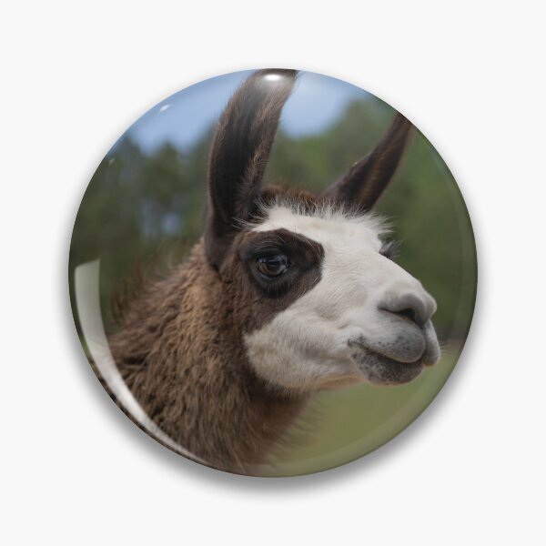 Artikelvorschau, dunkelbraunes Lama entworfen und verkauft von sarelitay.
