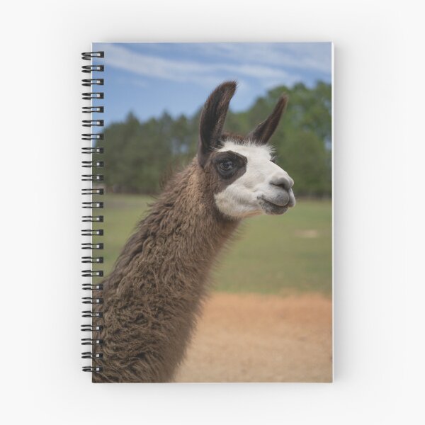 Item preview, dark brown llama designed and sold by sarelitay.