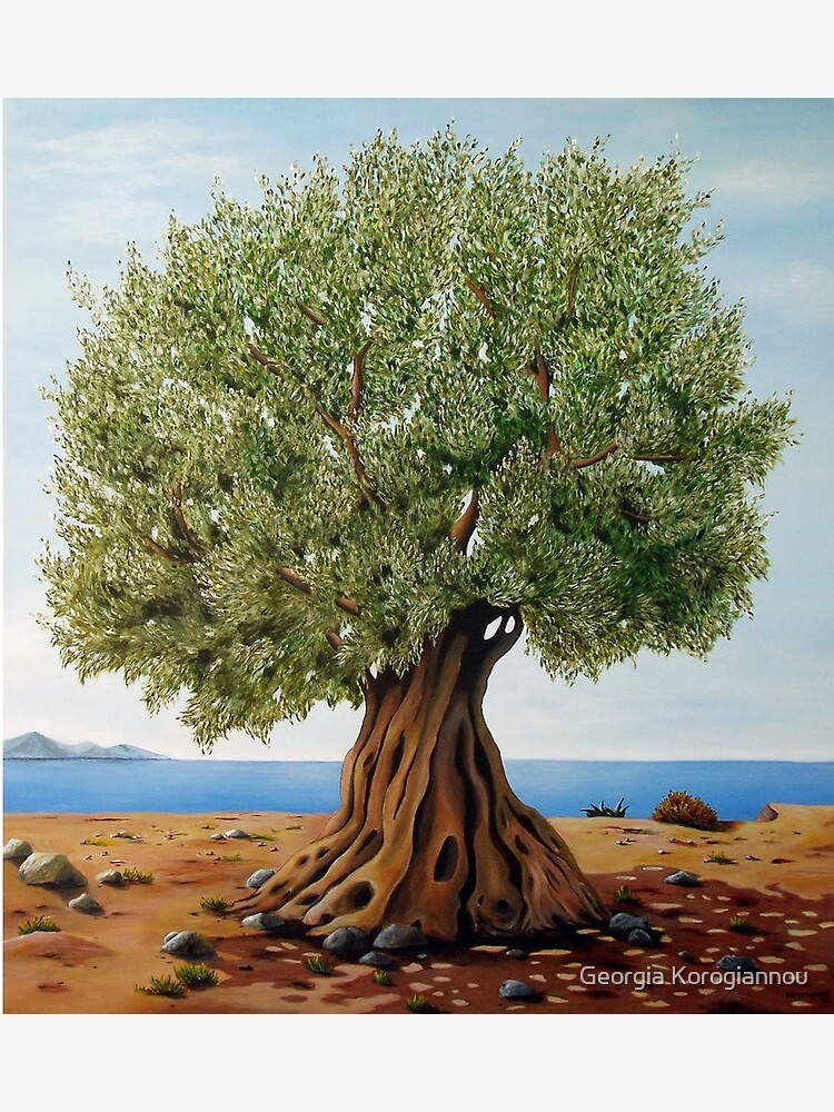 "Olive Tree" Canvas Print by GogoK Redbubble