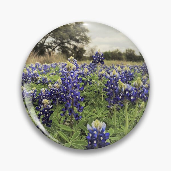 Item preview, Austin Texas Bluebonnets en un día nublado de primavera en estilo vintage designed and sold by Miranda the Artist.