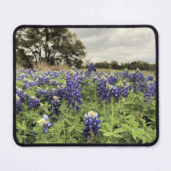 Item preview, Austin Texas Bluebonnets on a Cloudy Spring Day in Vintage Style designed and sold by Miranda the Artist.