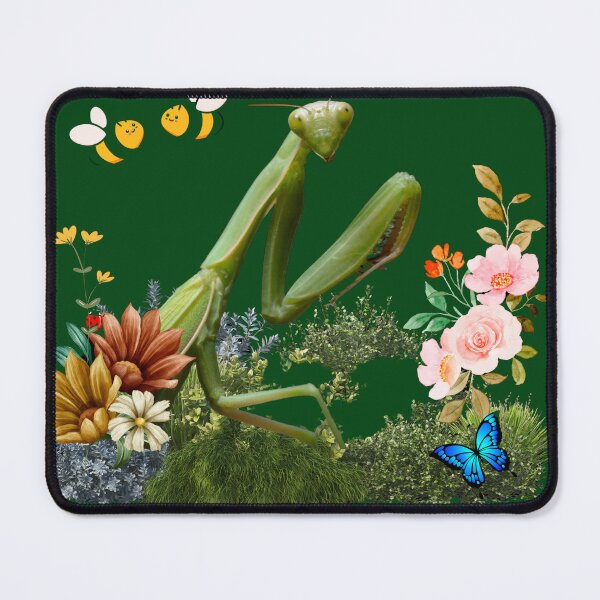 Item preview, Celebrate Entomology designed and sold by rbcc.