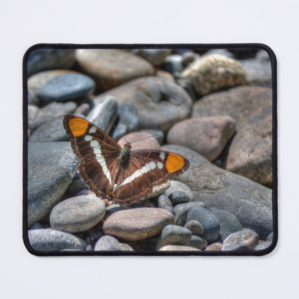 Item preview, Butterfly With A Decorative Pattern designed and sold by Diego Re.