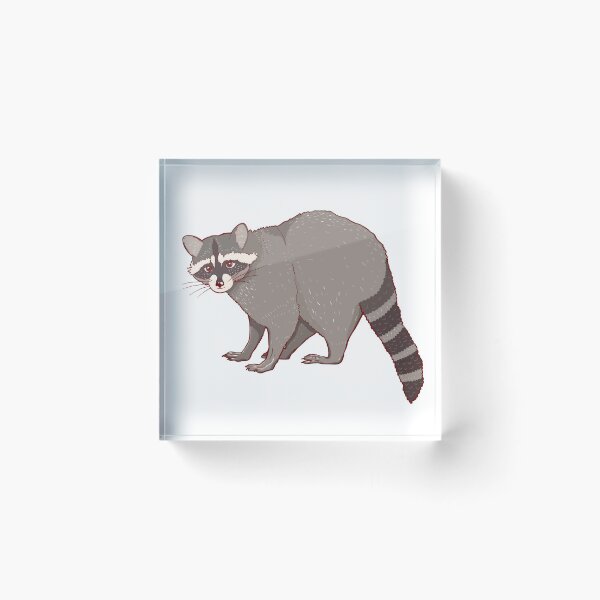 Item preview, Gray cute raccoon designed and sold by Elsbet.