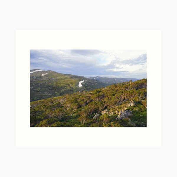 Item preview, Vista designed and sold by Harry Oldmeadow.
