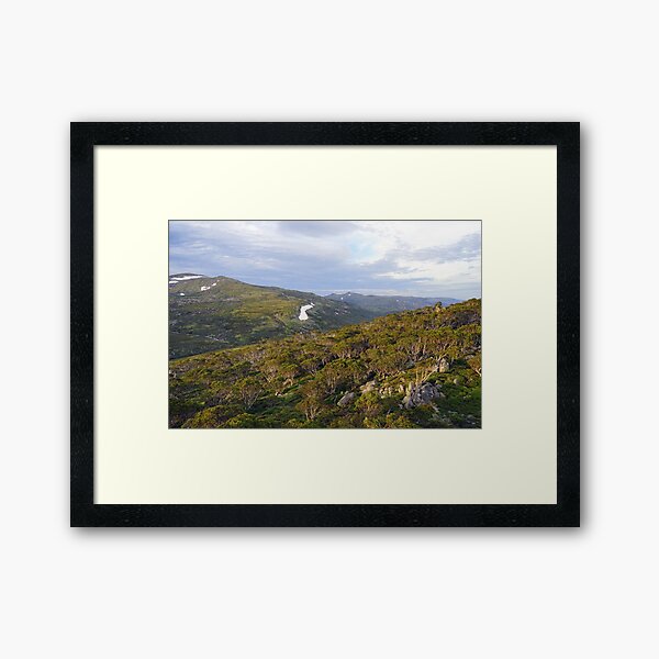 Item preview, Vista designed and sold by Harry Oldmeadow.