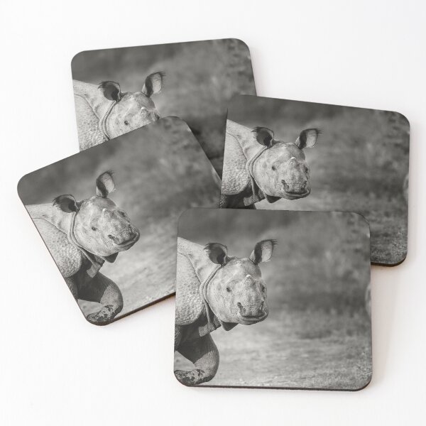 Item preview, Gentle Gaze designed and sold by Puttaswamy Ravishankar.