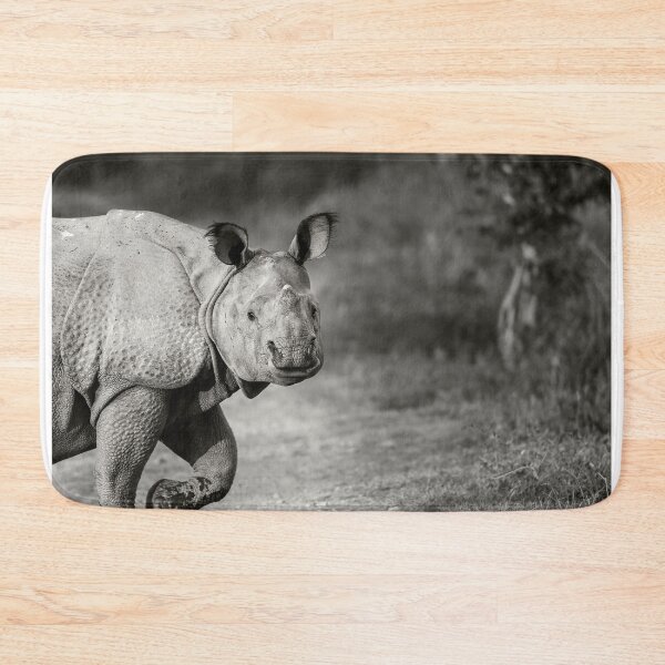 Item preview, Gentle Gaze designed and sold by Puttaswamy Ravishankar.