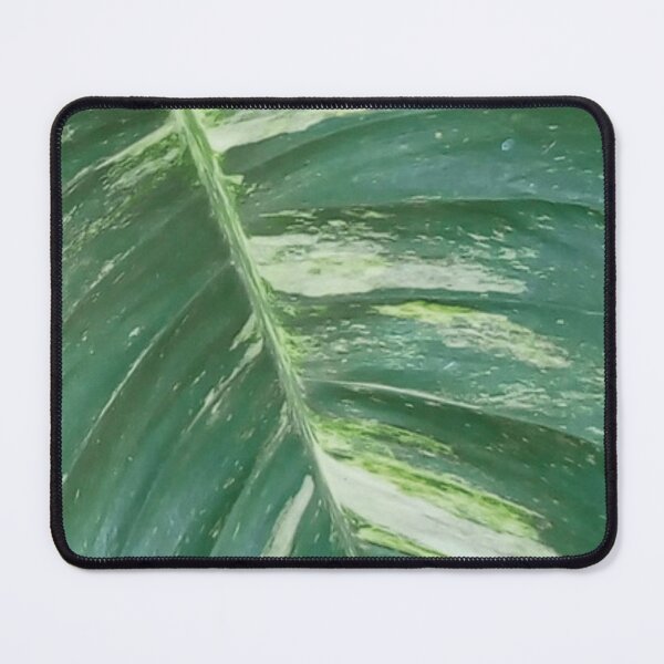 Item preview, Beautiful golden pothos leaf pattern. designed and sold by Trianglegreen.