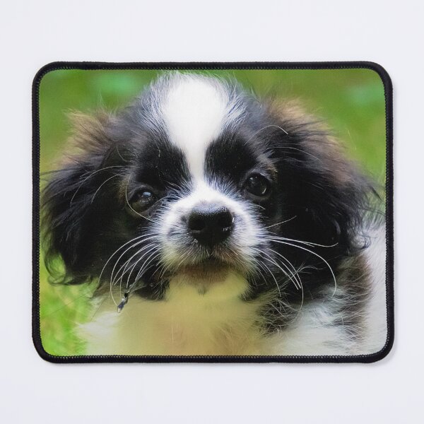 Item preview, A dog's life designed and sold by likbatonboot.