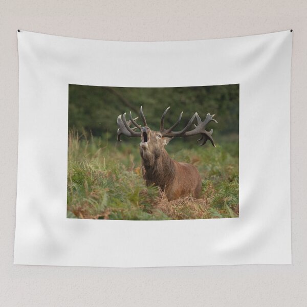 Item preview, Autumn Call designed and sold by JoHackman.