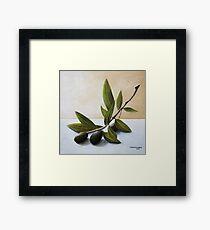 Olive Branch Framed Print