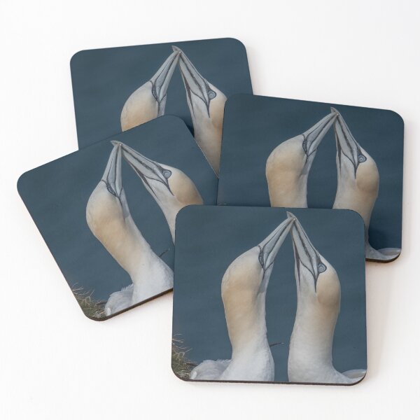 Item preview, Gannet love.  designed and sold by JoHackman.