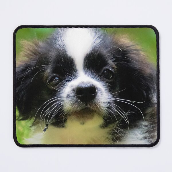 Item preview, A dog's life designed and sold by likbatonboot.