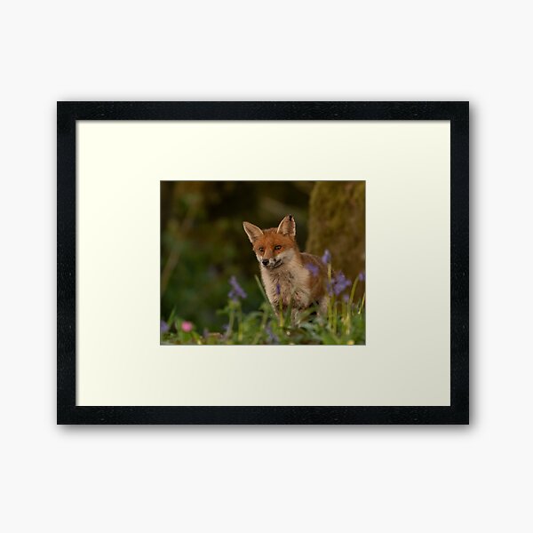 Aperçu de l'œuvre Campanules foxy. créée et vendue par JoHackman.