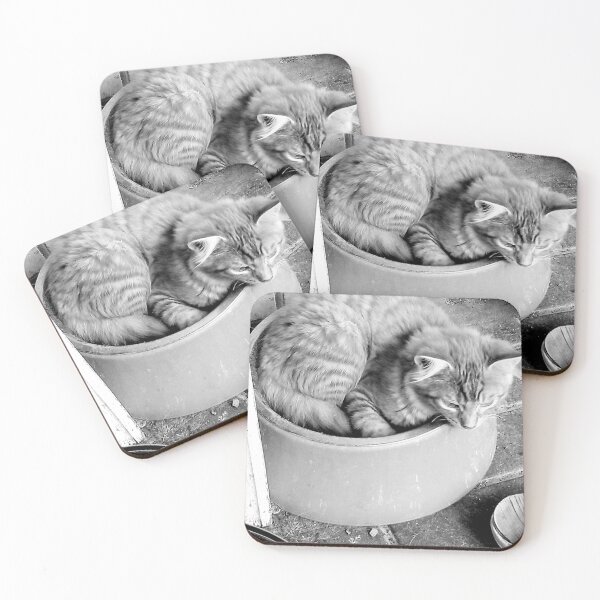 Item preview, Cat sitting in Dog bowl designed and sold by NaitoDiamond.