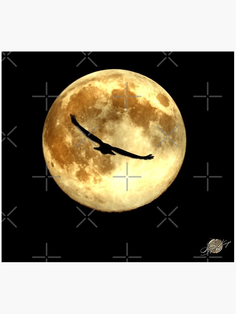 "Moon" Sticker for Sale by AngelWings Redbubble