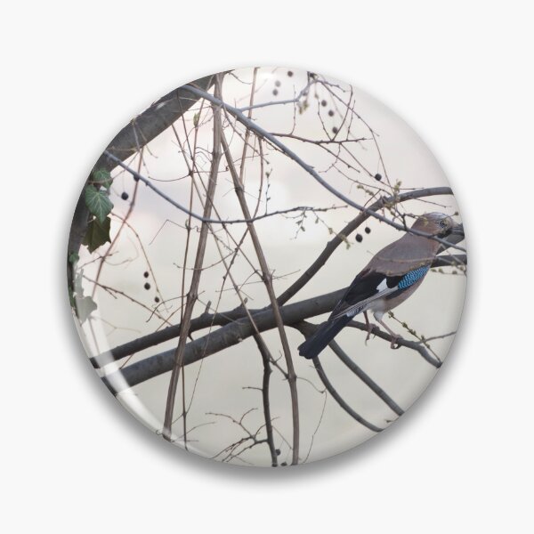 Item preview, European jay on hackberry tree designed and sold by distracted.