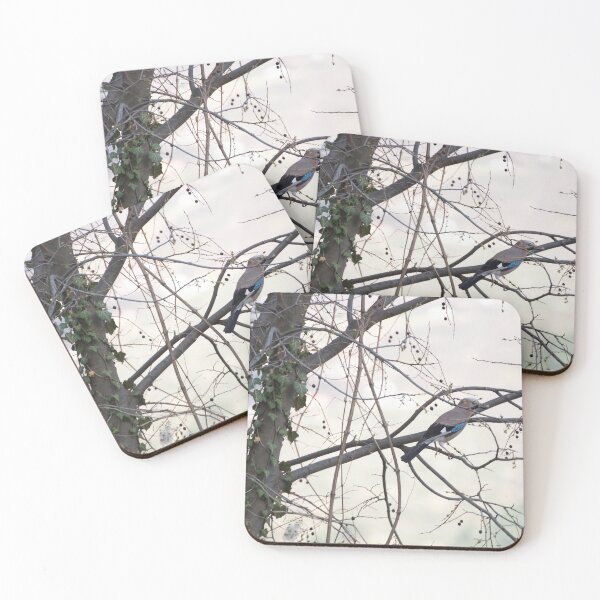 Item preview, European jay on hackberry tree designed and sold by distracted.