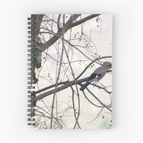Item preview, European jay on hackberry tree designed and sold by distracted.