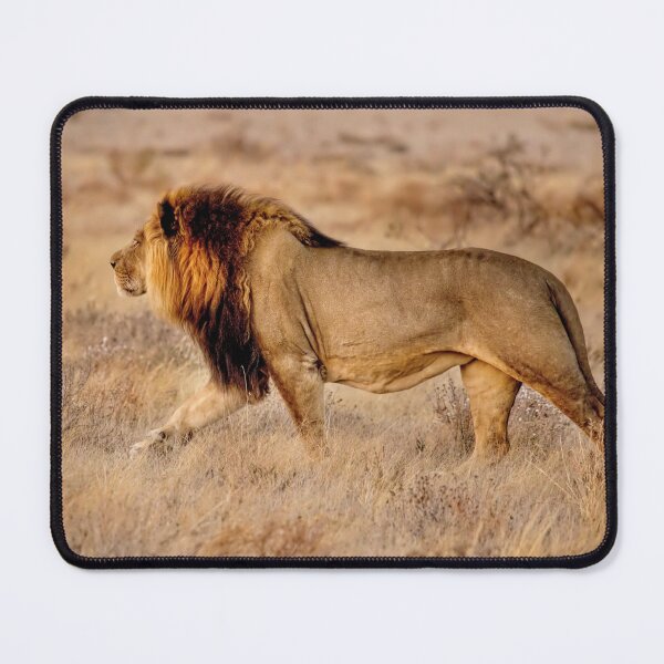 Item preview, A Lion Walking designed and sold by Kay Brewer.