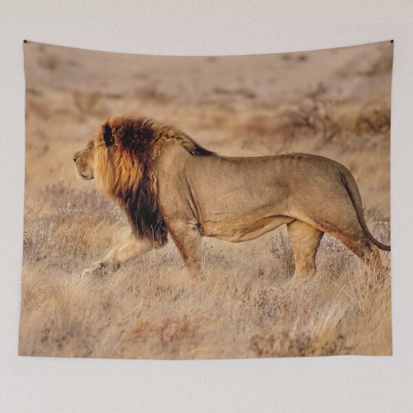 Item preview, A Lion Walking designed and sold by Kay Brewer.