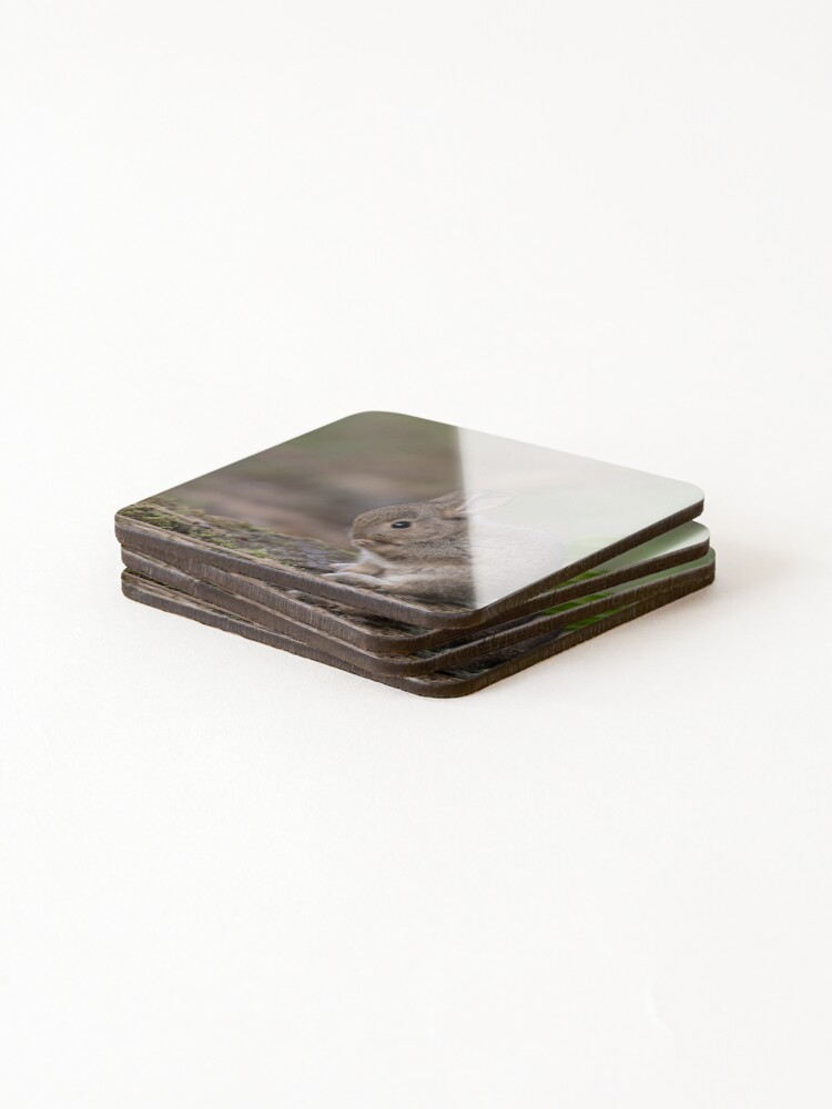 Thumbnail 4 of 5, Coasters (Set of 4), Baby Rabbit. designed and sold by JoHackman.
