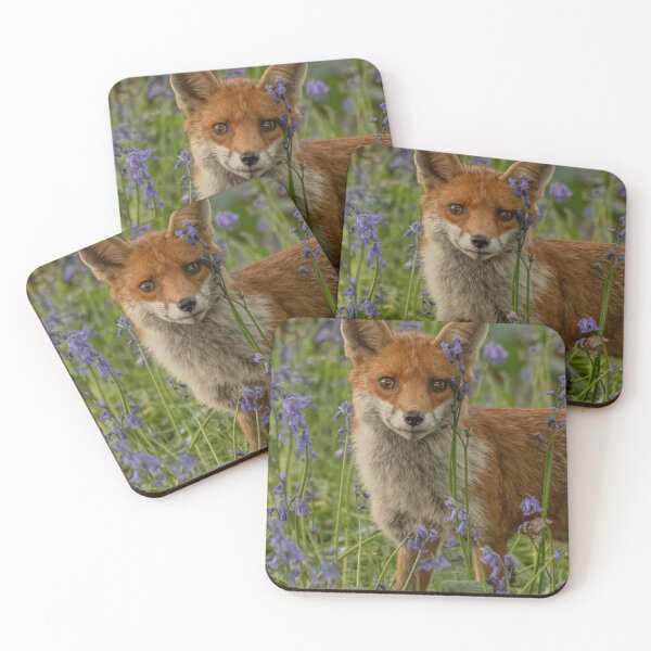 Item preview, Fox and bluebells. designed and sold by JoHackman.
