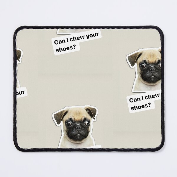Artikelvorschau, Can I chew your shoes funny text / pug /dog / puppy entworfen und verkauft von BiancaNeaguArt.