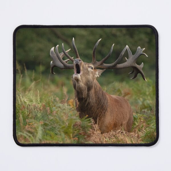 Item preview, Autumn Call designed and sold by JoHackman.