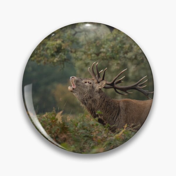 Item preview, Woodland Roar designed and sold by JoHackman.