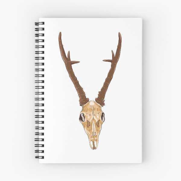 Item preview, Skull of roe deer designed and sold by Elsbet.