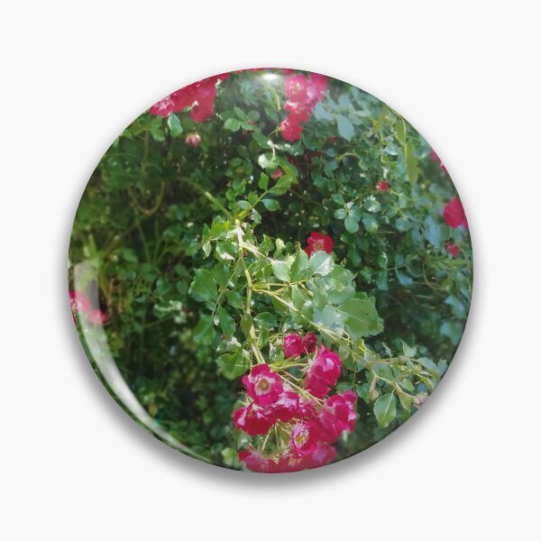 Item preview, Rambling Rosie - Photo Taken Jardin de la Maison Rose designed and sold by JacquiRose23.