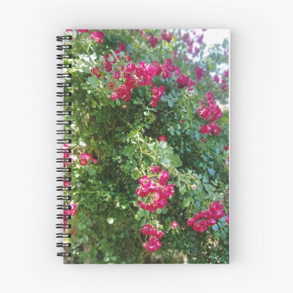 Item preview, Rambling Rosie - Photo Taken Jardin de la Maison Rose designed and sold by JacquiRose23.