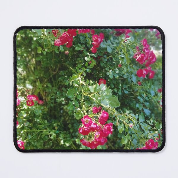 Item preview, Rambling Rosie - Photo Taken Jardin de la Maison Rose designed and sold by JacquiRose23.