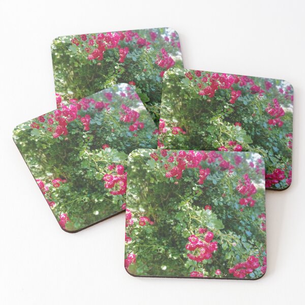 Item preview, Rambling Rosie - Photo Taken Jardin de la Maison Rose designed and sold by JacquiRose23.