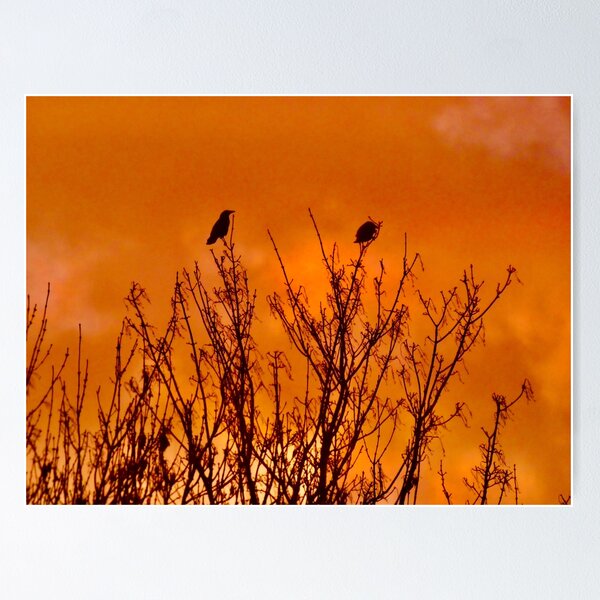 Item preview, Sunset in Devon UK designed and sold by penguinblue.