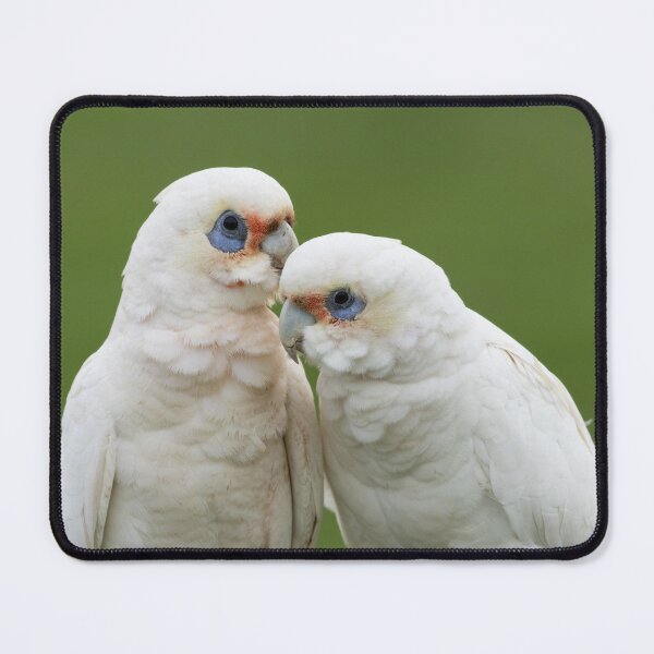 Item preview, Little Corella designed and sold by Jade Welch.