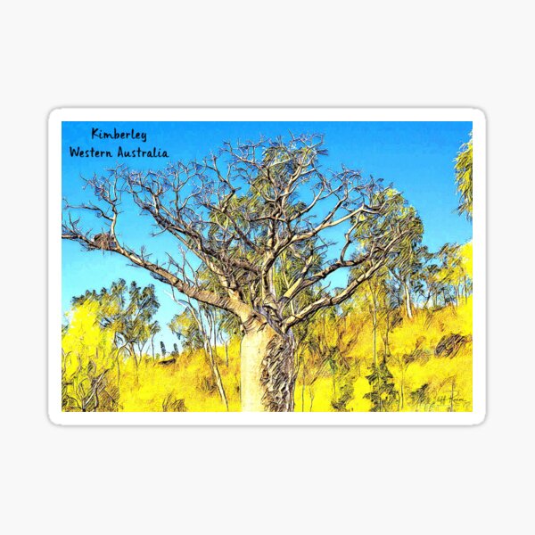 Item preview, Boab Tree 1 Kimberley Western Australia  designed and sold by WallsOfFameAust.