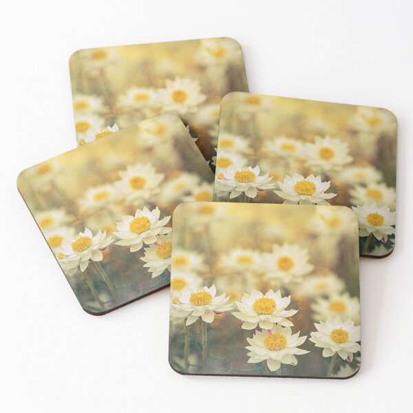 Item preview, Grunge textured wildflower meadow of everlasting daisies designed and sold by Cloudlingpics.
