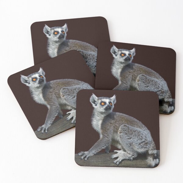Item preview, Curious Lemur designed and sold by Krys Bailey.