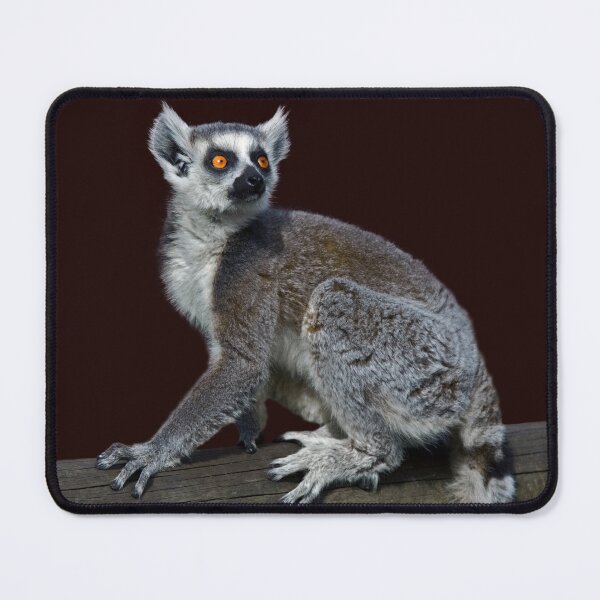Item preview, Curious Lemur designed and sold by Krys Bailey.