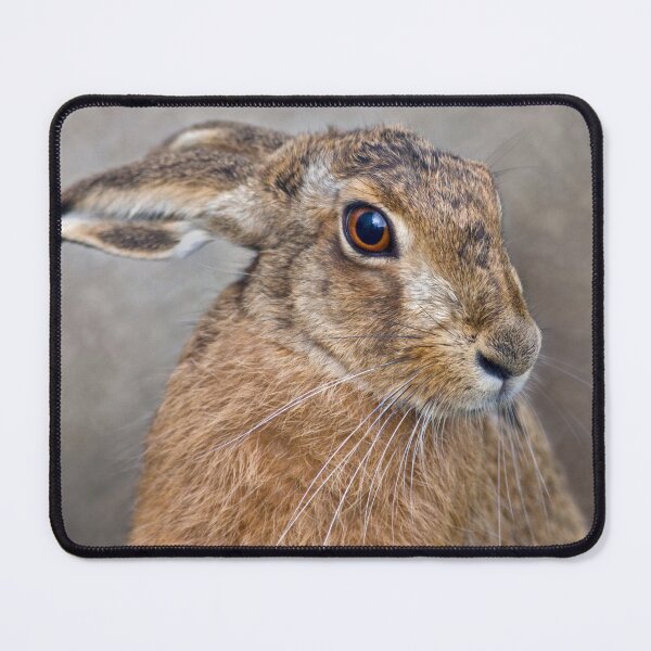 Item preview, Hare designed and sold by Krys Bailey.