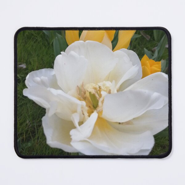 Item preview, Spring Flower tulip yellow meadow designed and sold by marghe41.