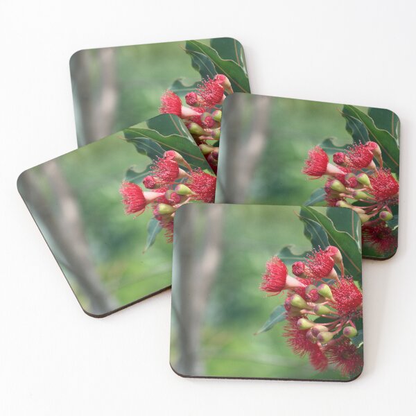 Item preview, Australian flora - red corymbia ficifolia blossoms designed and sold by Cloudlingpics.